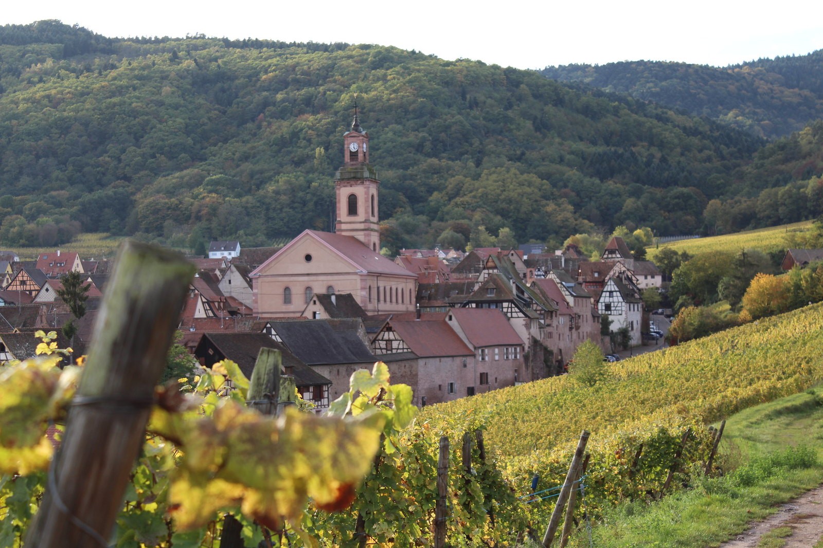 Riquewihr © Office de Tourisme du Pays de Ribeauvillé et Riquewihr ok